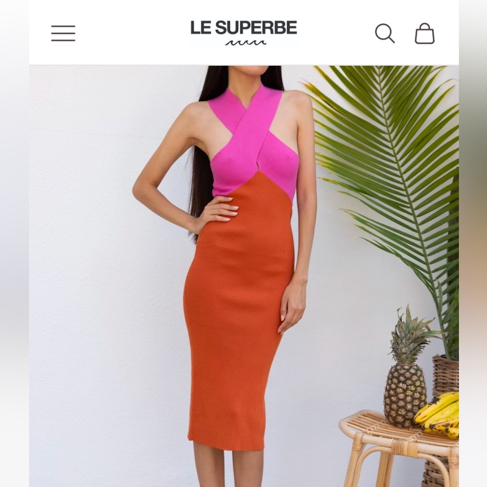 NWT Le Superbe Dress Size S